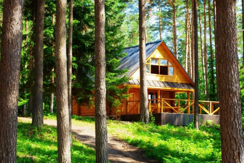dom z bali w lesie